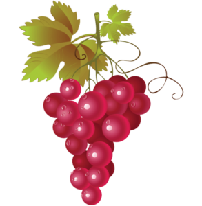 hop-grape-vines-red-grapes-clipart-11563785453svasfillqw-removebg-preview